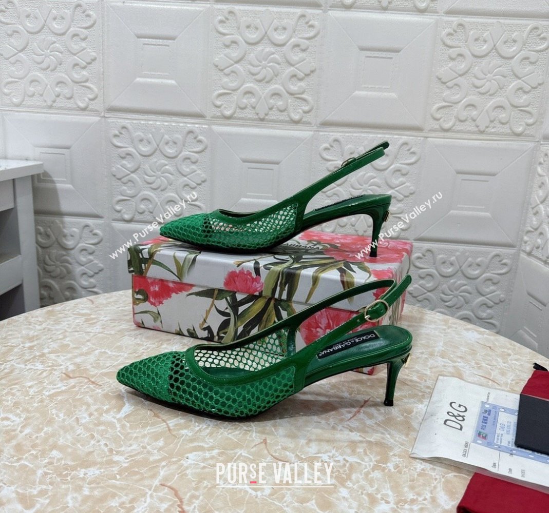 Dolce Gabbana DG Patent Leather and Mesh Slingbacks Pumps 6.5cm Green 2024 (MD-240506097)