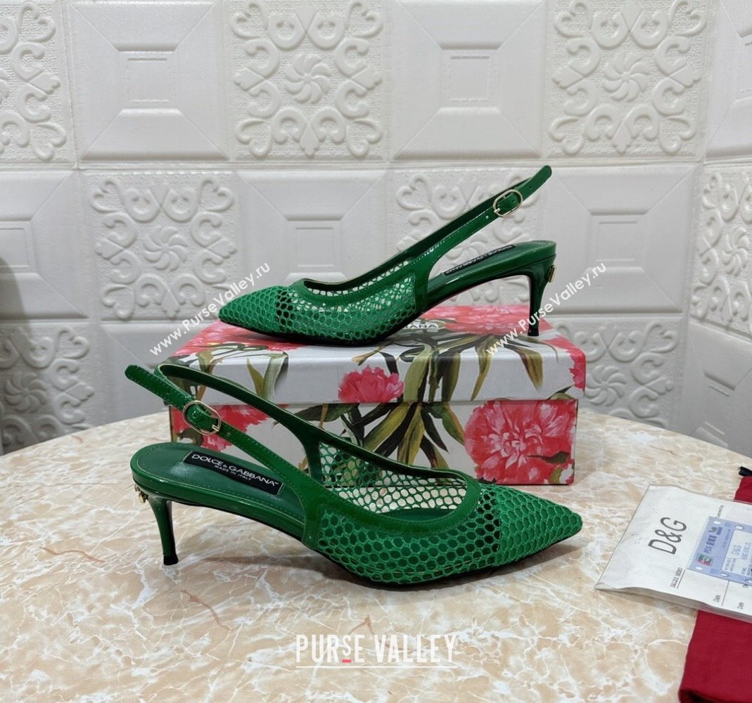 Dolce Gabbana DG Patent Leather and Mesh Slingbacks Pumps 6.5cm Green 2024 (MD-240506097)