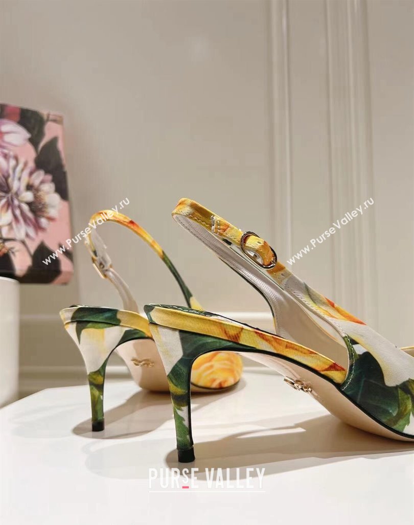 Dolce Gabbana Printed Slingback Pumps 6.5cm/9.5cm White/Yellow 2024 0604 (MD-240604114)