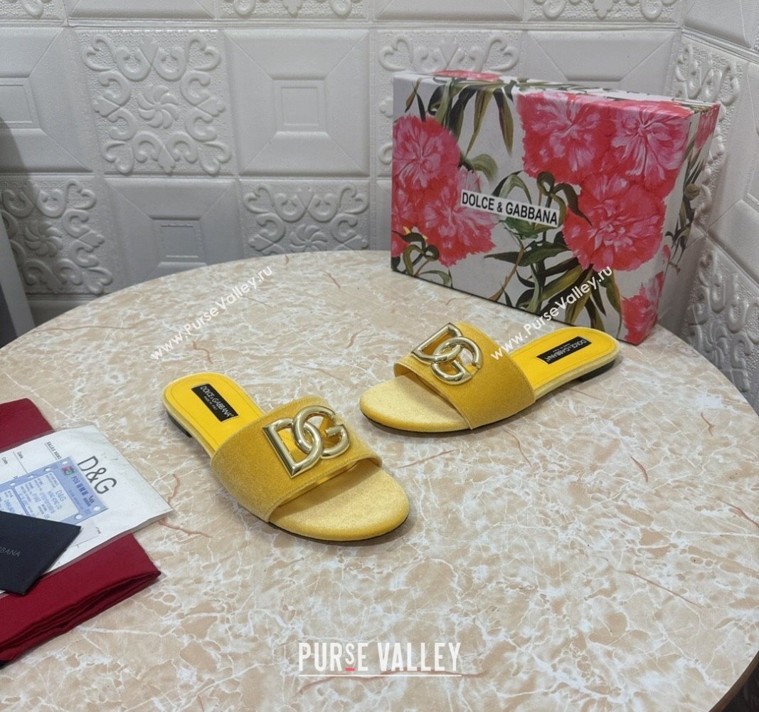 Dolce Gabbana DG Velvet Flat Slide Sandals Yellow 2024 0604 (MD-240604094)