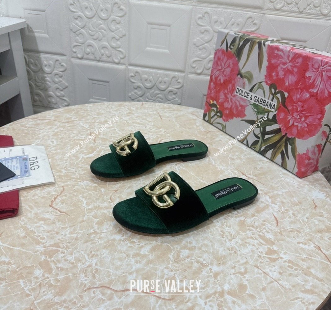 Dolce Gabbana DG Velvet Flat Slide Sandals Green 2024 0604 (MD-240604099)