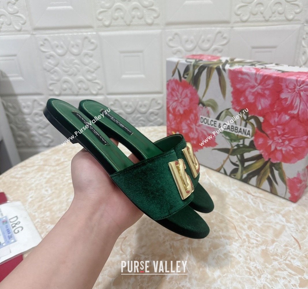 Dolce Gabbana DG Velvet Flat Slide Sandals Green 2024 0604 (MD-240604099)