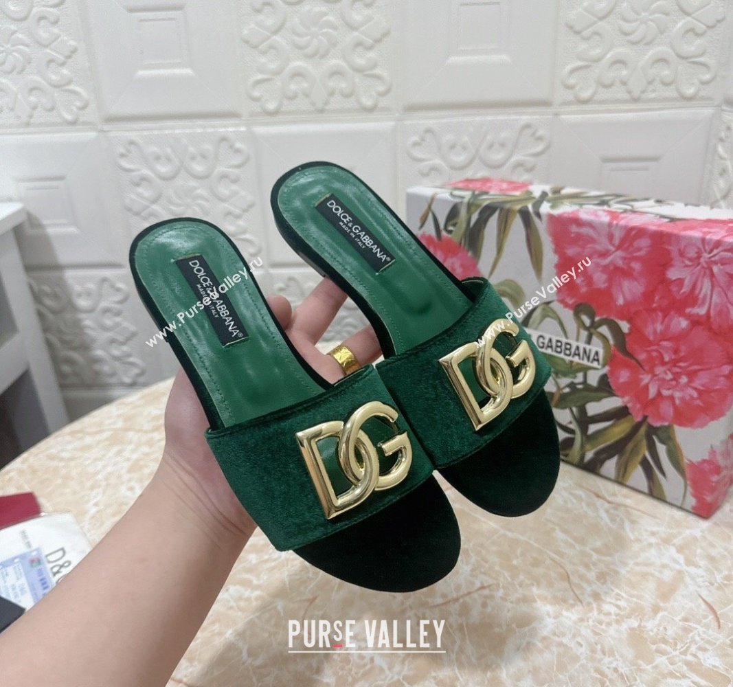 Dolce Gabbana DG Velvet Flat Slide Sandals Green 2024 0604 (MD-240604099)