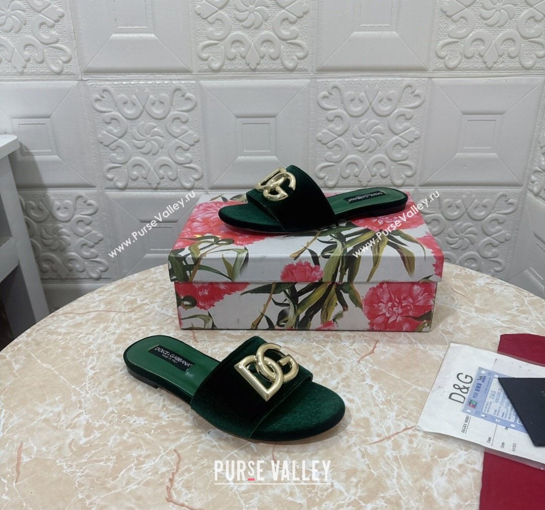 Dolce Gabbana DG Velvet Flat Slide Sandals Green 2024 0604 (MD-240604099)