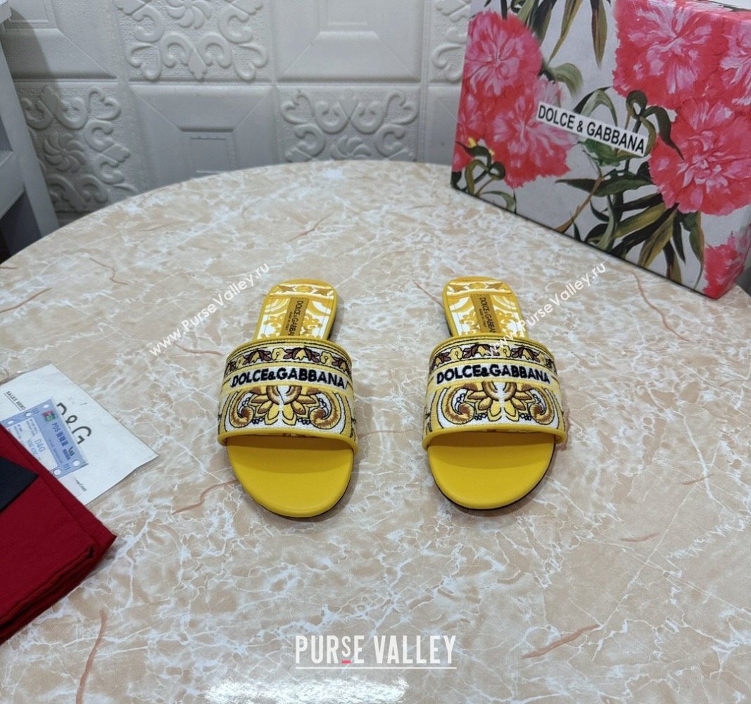 Dolce Gabbana DG Embroidered Flat Slides Sandal Yellow 2024 0813 (MD-240813015)