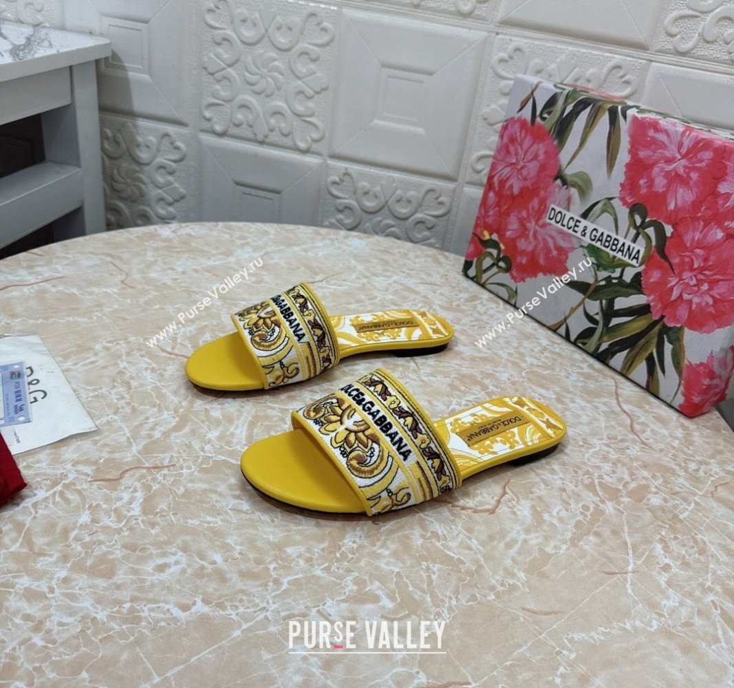 Dolce Gabbana DG Embroidered Flat Slides Sandal Yellow 2024 0813 (MD-240813015)