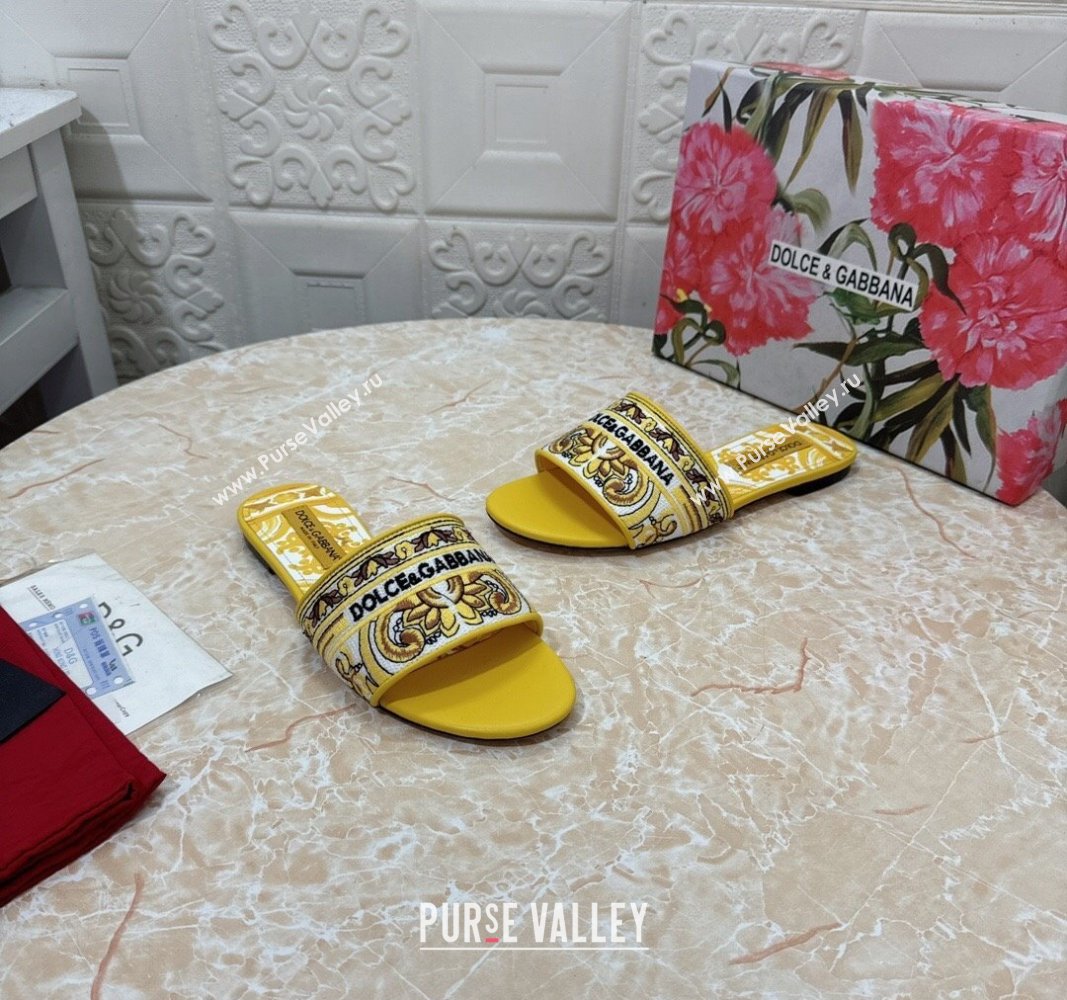 Dolce Gabbana DG Embroidered Flat Slides Sandal Yellow 2024 0813 (MD-240813015)