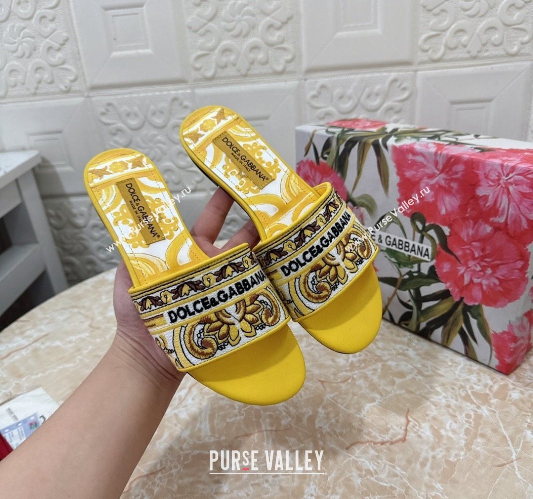 Dolce Gabbana DG Embroidered Flat Slides Sandal Yellow 2024 0813 (MD-240813015)