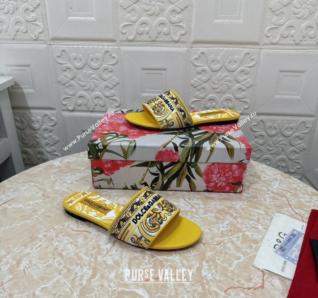 Dolce Gabbana DG Embroidered Flat Slides Sandal Yellow 2024 0813 (MD-240813015)