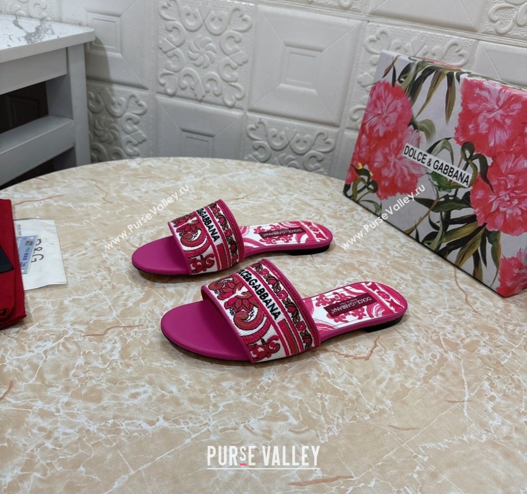 Dolce Gabbana DG Embroidered Flat Slides Sandal Pink 2024 0813 (MD-240813016)