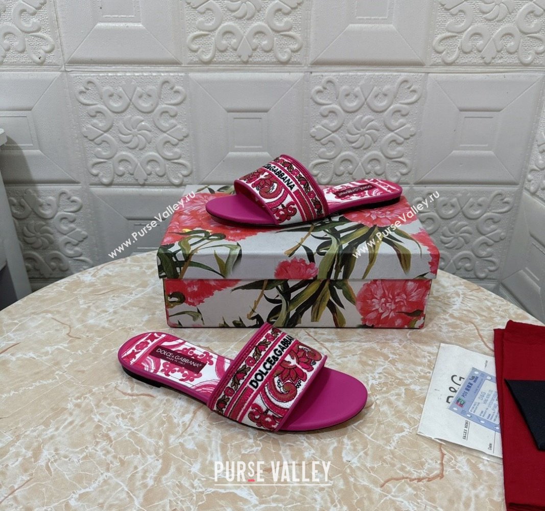 Dolce Gabbana DG Embroidered Flat Slides Sandal Pink 2024 0813 (MD-240813016)