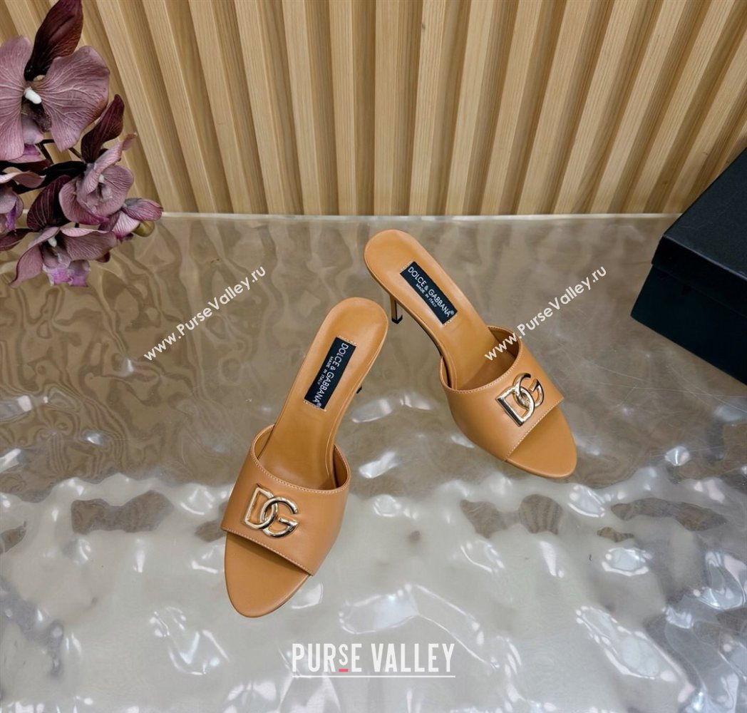 Dolce Gabbana Calfskin Leather Heel Slides Sandal 9cm with DG Logo Brown 2025 DG121101 (MD-251211072)