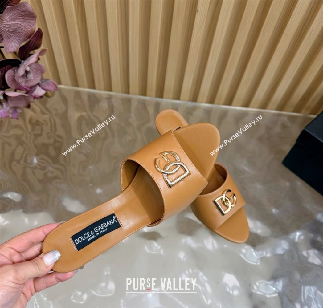 Dolce Gabbana Calfskin Leather Heel Slides Sandal 9cm with DG Logo Brown 2025 DG121101 (MD-251211072)