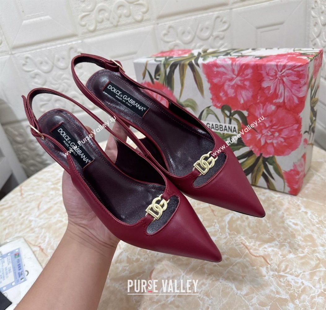 Dolce Gabbana Lollo Nappa Leather slingbacks Pump 6.5cm Dark Burgundy 2025 DG121106 (MD-251211101)