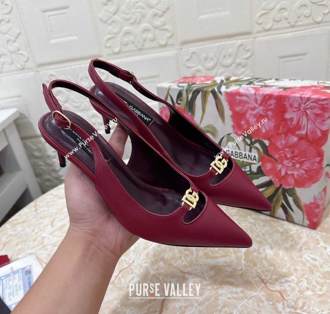 Dolce Gabbana Lollo Nappa Leather slingbacks Pump 6.5cm Dark Burgundy 2025 DG121106 (MD-251211101)