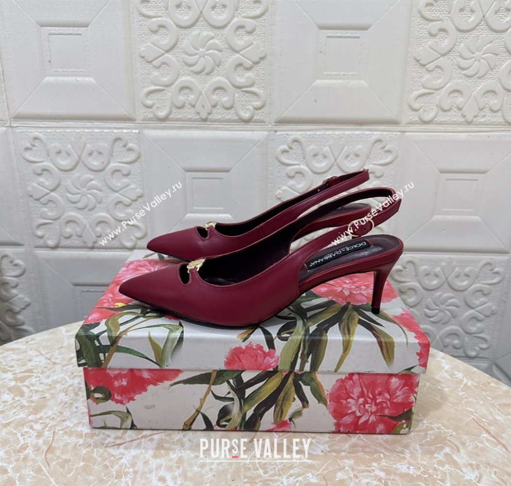 Dolce Gabbana Lollo Nappa Leather slingbacks Pump 6.5cm Dark Burgundy 2025 DG121106 (MD-251211101)