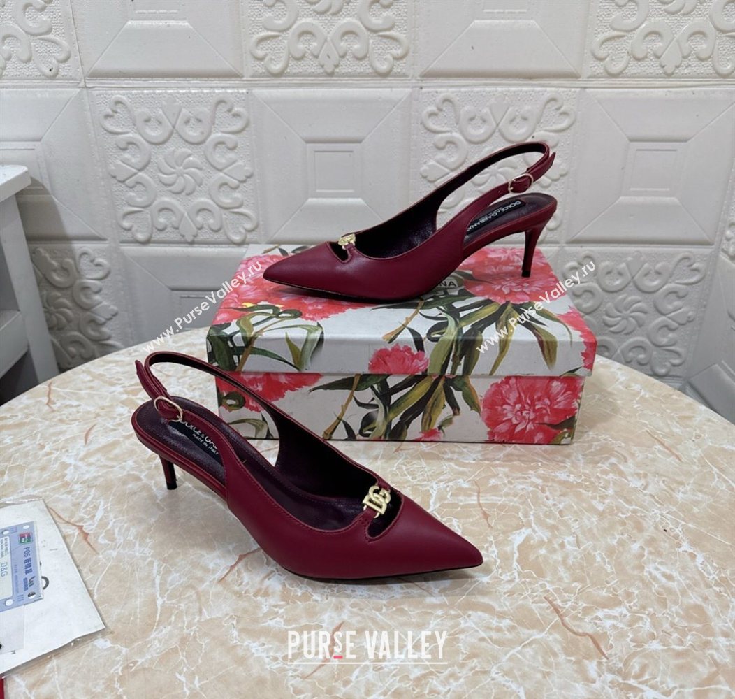 Dolce Gabbana Lollo Nappa Leather slingbacks Pump 6.5cm Dark Burgundy 2025 DG121106 (MD-251211101)
