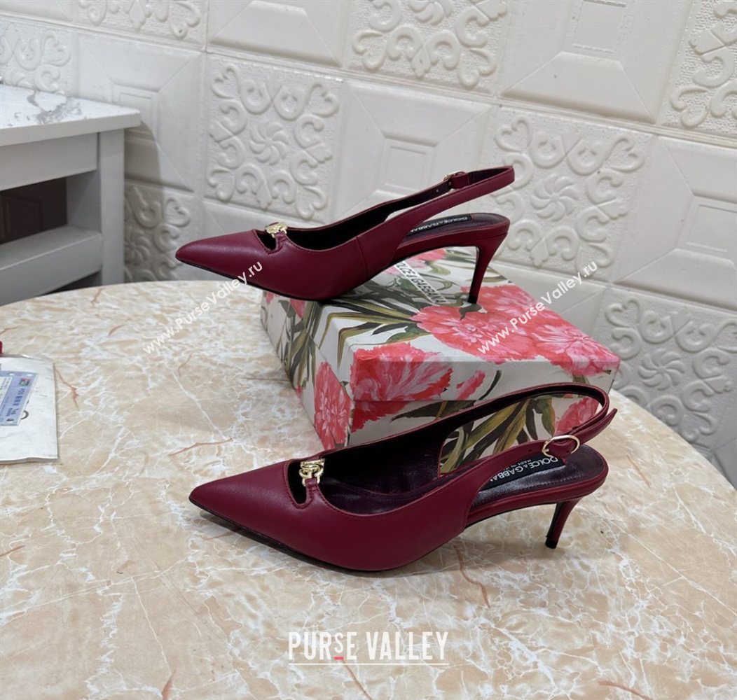 Dolce Gabbana Lollo Nappa Leather slingbacks Pump 6.5cm Dark Burgundy 2025 DG121106 (MD-251211101)