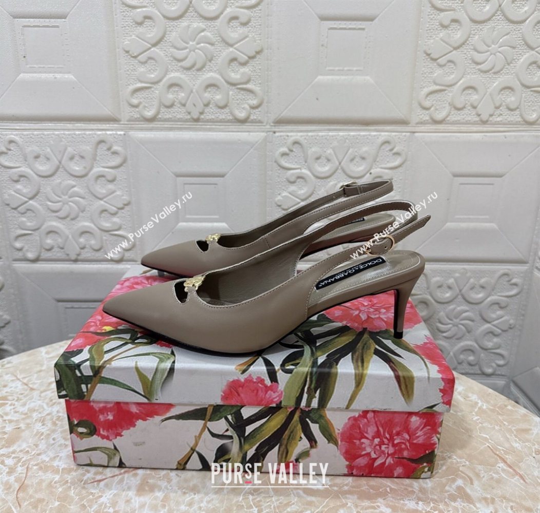 Dolce Gabbana Lollo Nappa Leather slingbacks Pump 6.5cm Grey 2025 DG121106 (MD-251211102)