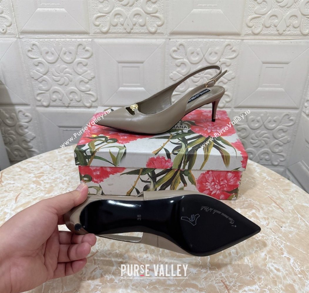 Dolce Gabbana Lollo Nappa Leather slingbacks Pump 6.5cm Grey 2025 DG121106 (MD-251211102)