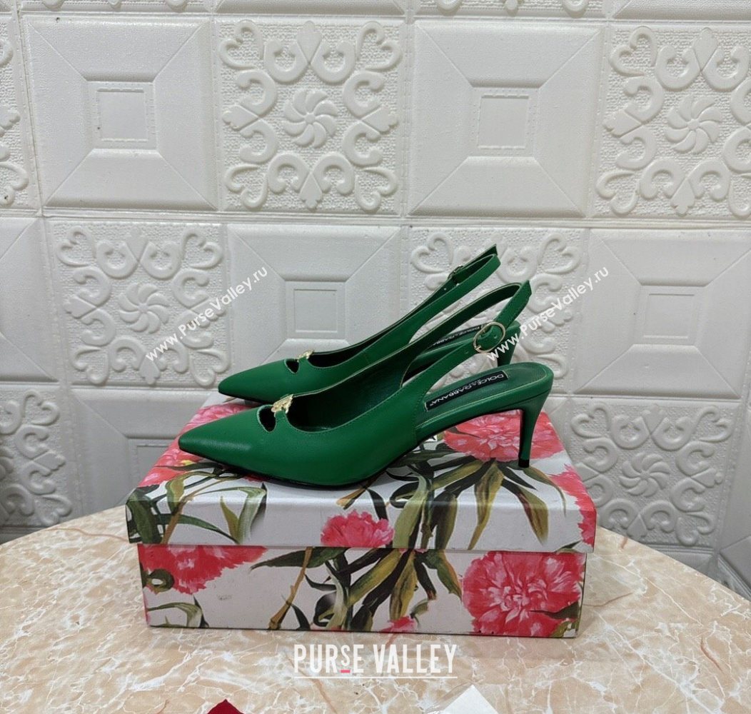 Dolce Gabbana Lollo Nappa Leather slingbacks Pump 6.5cm Green 2025 DG121106 (MD-251211100)