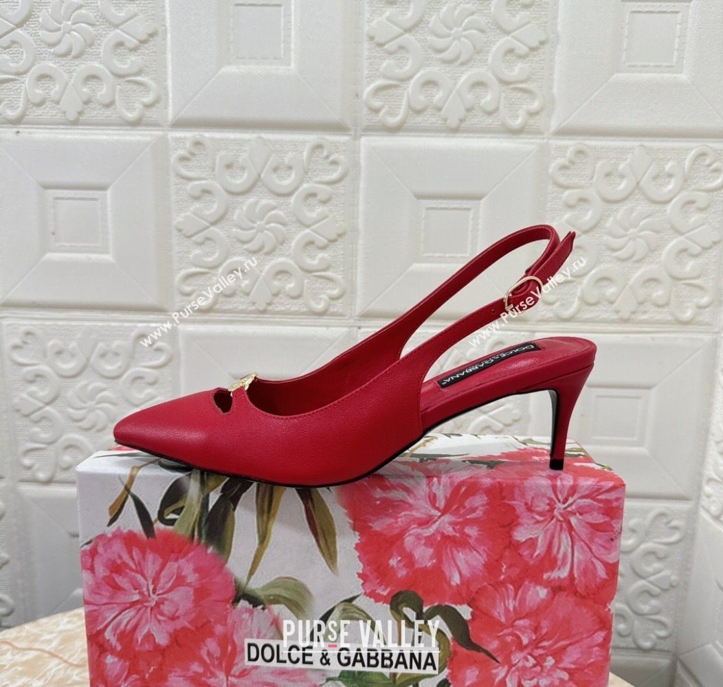 Dolce Gabbana Lollo Nappa Leather slingbacks Pump 6.5cm Red 2025 DG121106 (MD-251211104)