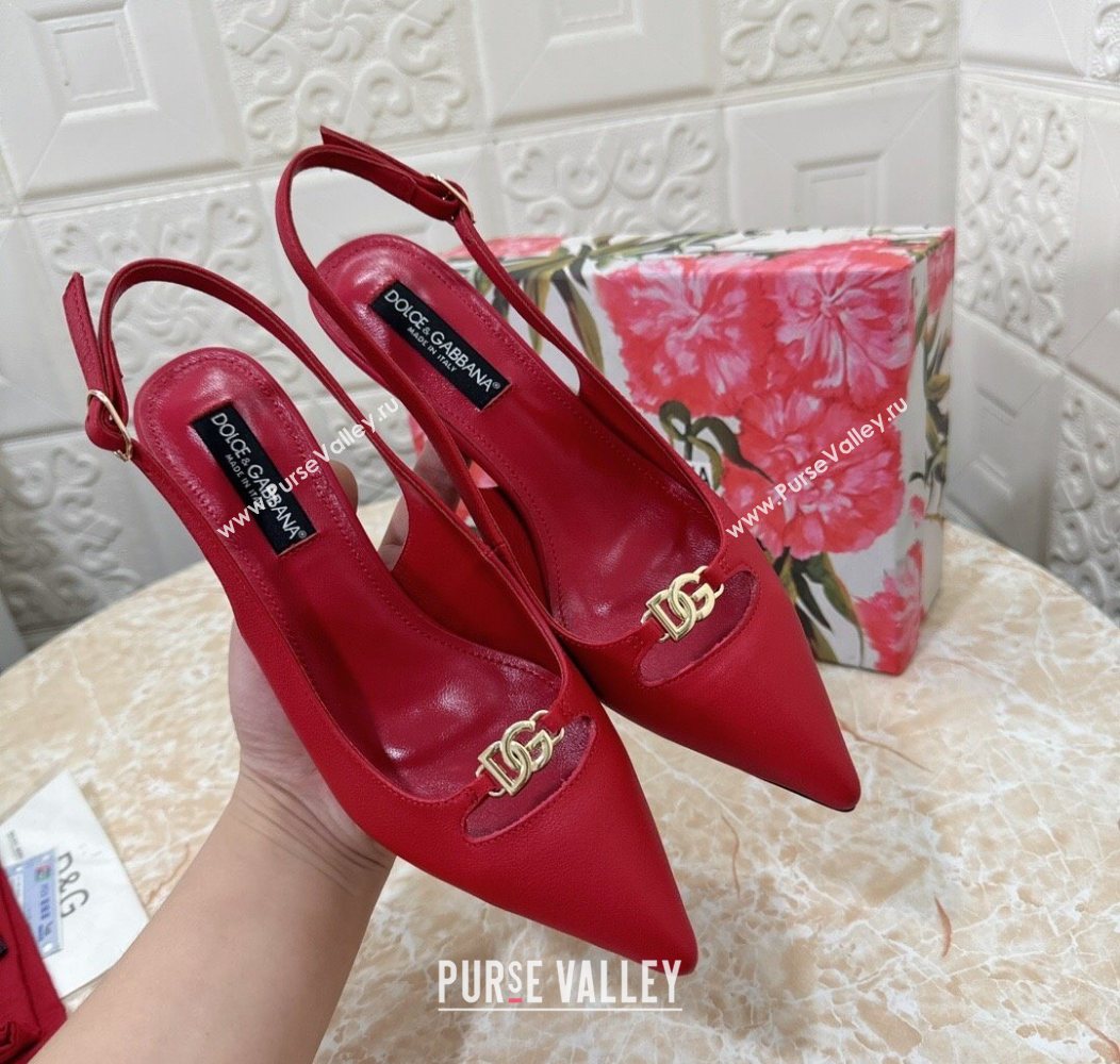 Dolce Gabbana Lollo Nappa Leather slingbacks Pump 6.5cm Red 2025 DG121106 (MD-251211104)