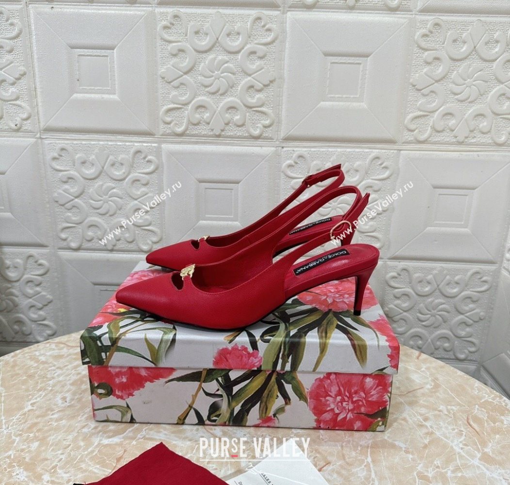 Dolce Gabbana Lollo Nappa Leather slingbacks Pump 6.5cm Red 2025 DG121106 (MD-251211104)