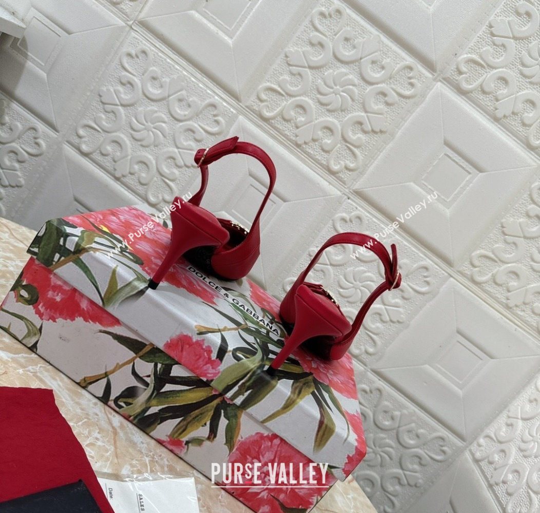 Dolce Gabbana Lollo Nappa Leather slingbacks Pump 6.5cm Red 2025 DG121106 (MD-251211104)
