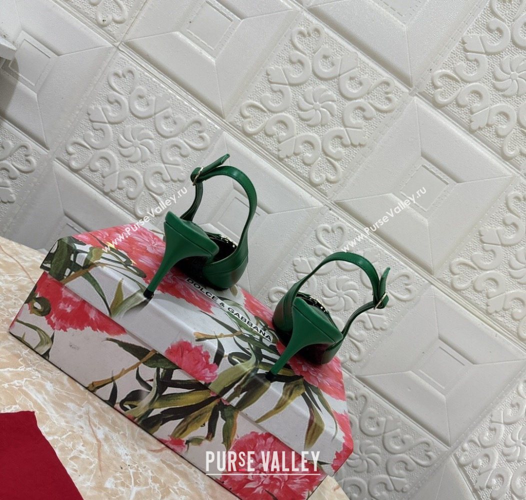 Dolce Gabbana Lollo Nappa Leather slingbacks Pump 6.5cm Green 2025 DG121106 (MD-251211100)