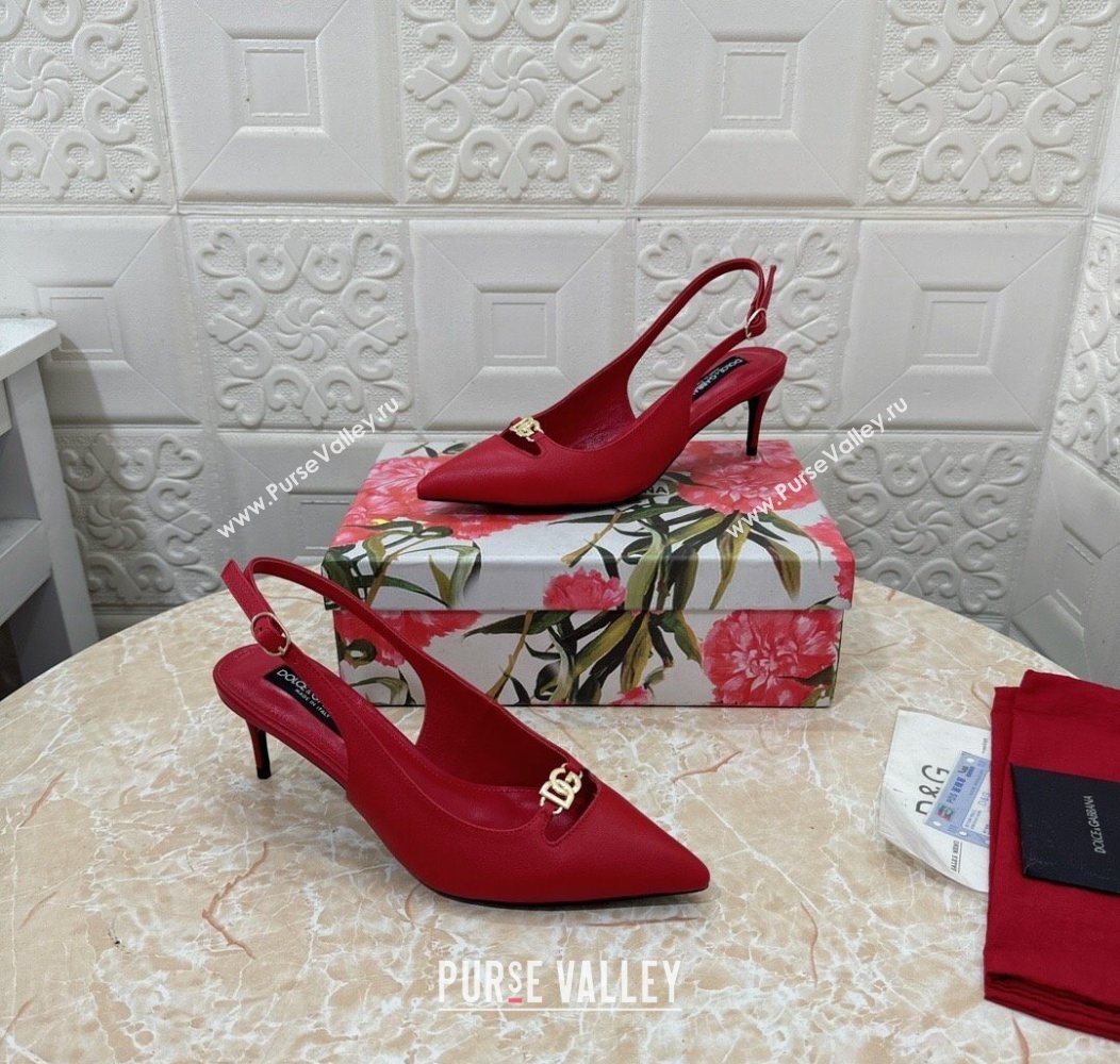 Dolce Gabbana Lollo Nappa Leather slingbacks Pump 6.5cm Red 2025 DG121106 (MD-251211104)