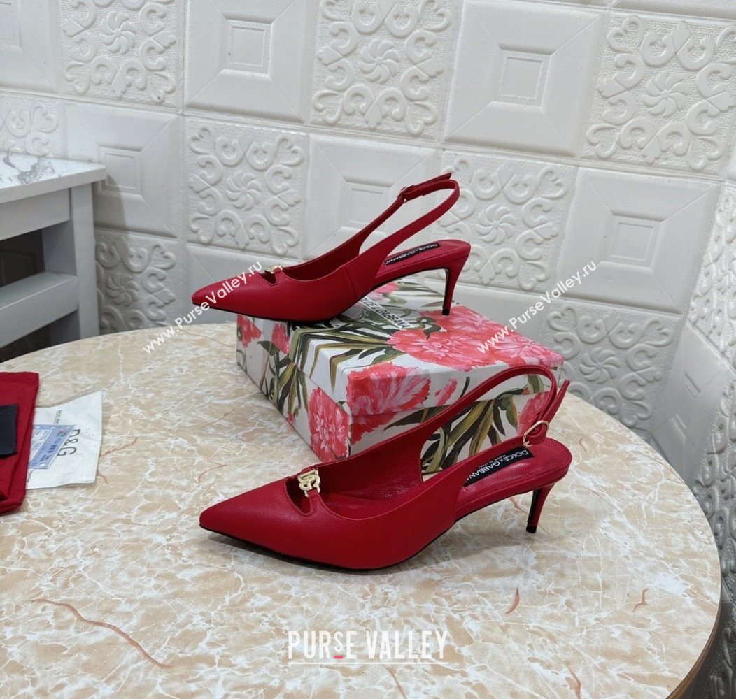 Dolce Gabbana Lollo Nappa Leather slingbacks Pump 6.5cm Red 2025 DG121106 (MD-251211104)