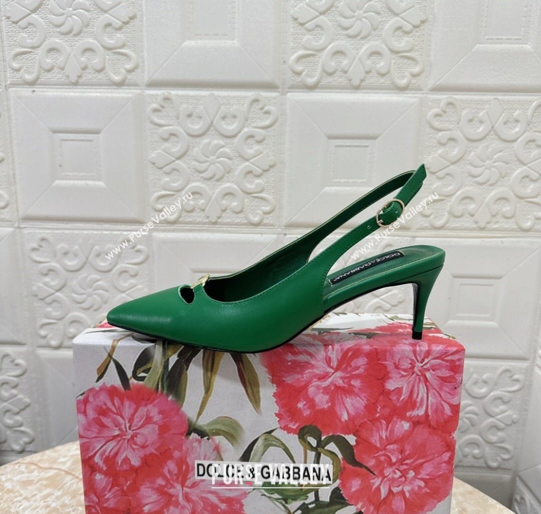 Dolce Gabbana Lollo Nappa Leather slingbacks Pump 6.5cm Green 2025 DG121106 (MD-251211100)