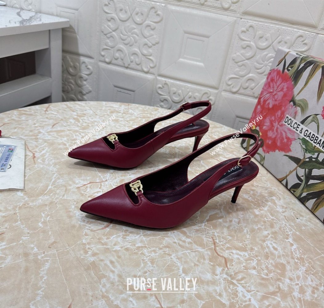 Dolce Gabbana Lollo Nappa Leather slingbacks Pump 6.5cm Dark Burgundy 2025 DG121106 (MD-251211101)