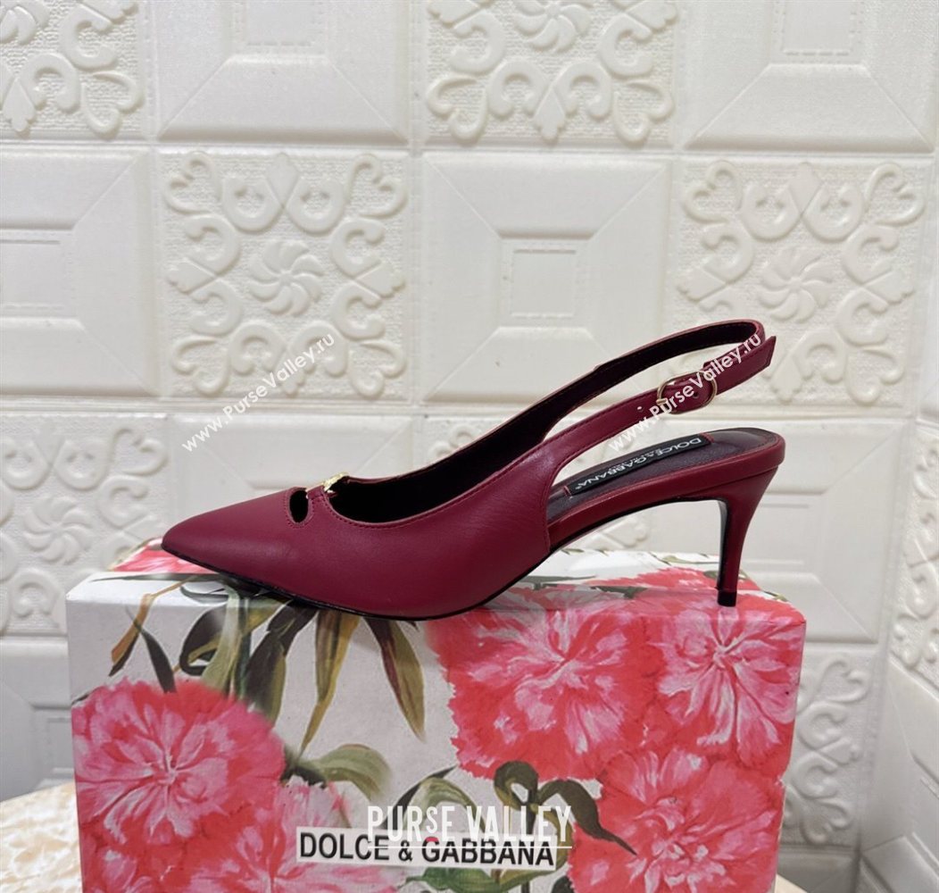 Dolce Gabbana Lollo Nappa Leather slingbacks Pump 6.5cm Dark Burgundy 2025 DG121106 (MD-251211101)