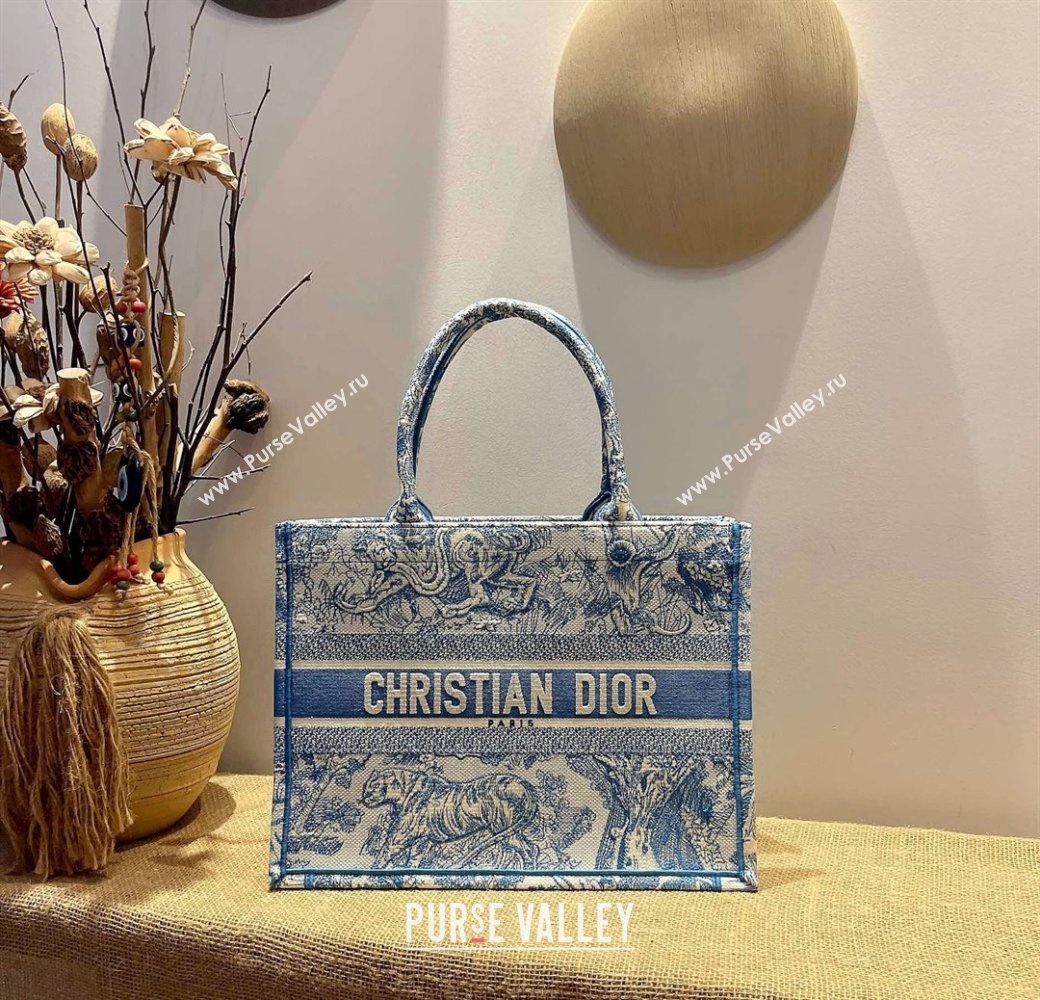 Dior Small Book Tote Bag in Blue Toile de Jouy Embroidery 2021 120147 (XXG-21120147)