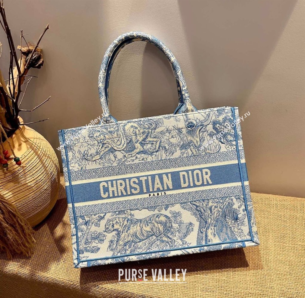 Dior Small Book Tote Bag in Blue Toile de Jouy Embroidery 2021 120147 (XXG-21120147)