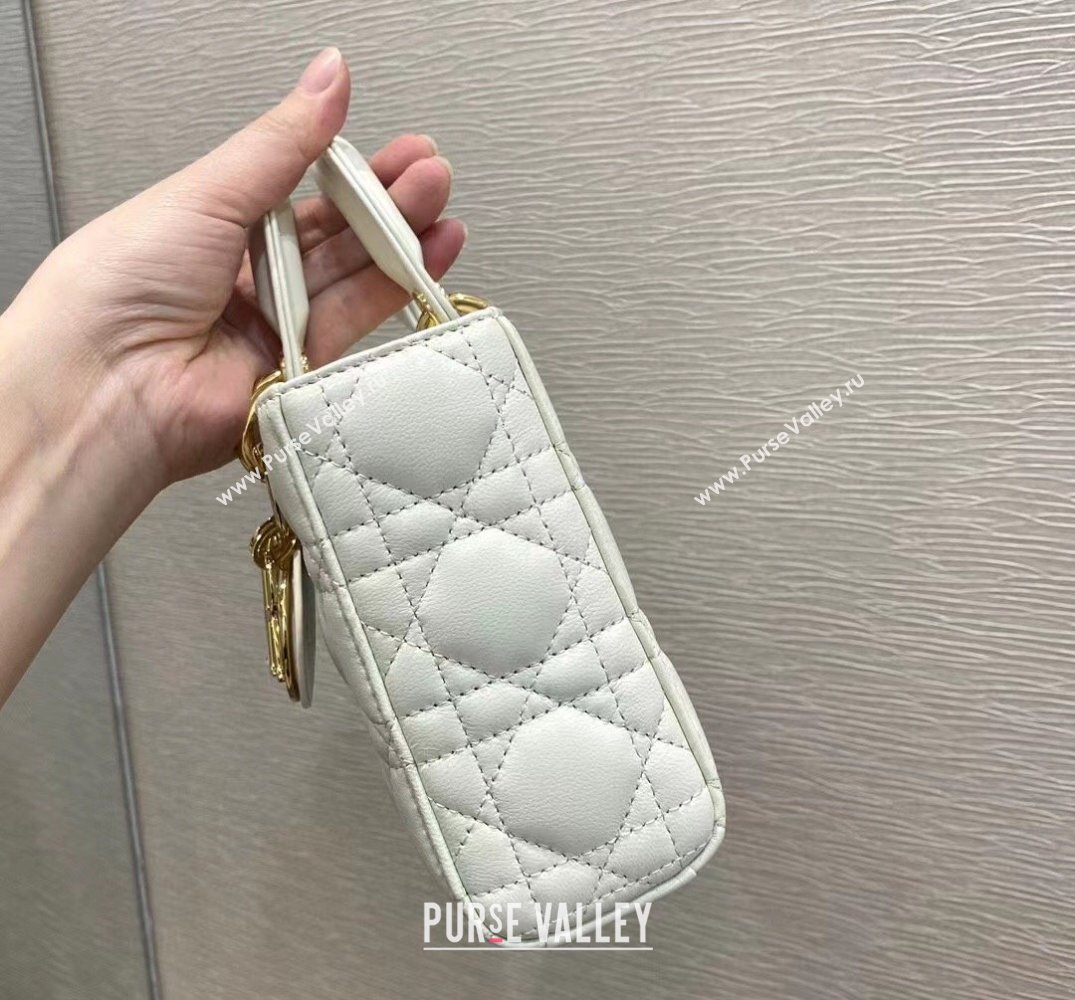 Dior Lady D-Joy Bag in Cannage Lambskin White 2022 M933 (XXG-22031638)