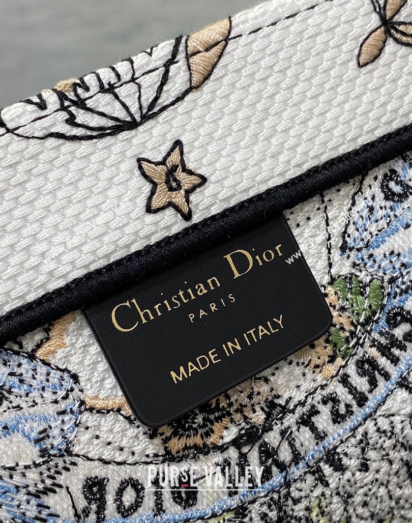 Dior Large Book Tote Bag in White and Green Butterfly Around The World Embroidery 2023 (XXG-231115032)