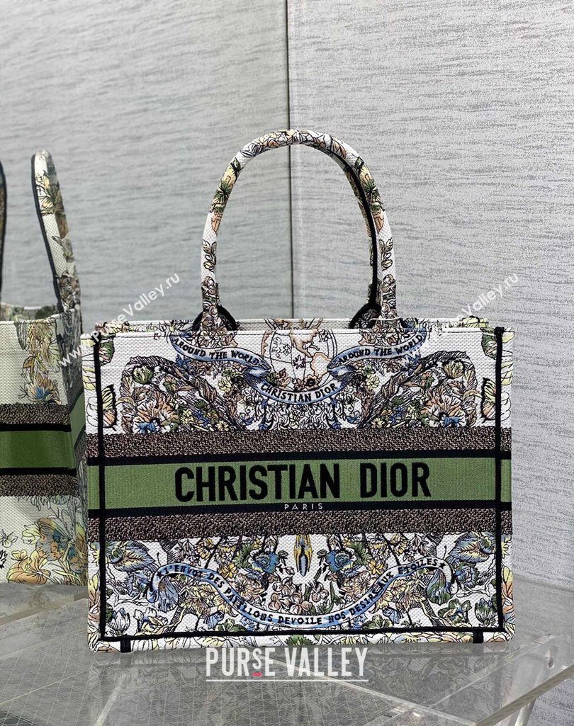 Dior Medium Book Tote Bag in White and Green Butterfly Around The World Embroidery 2023 (BF-231115033)