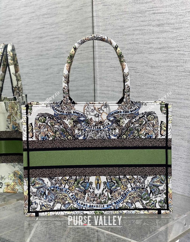 Dior Medium Book Tote Bag in White and Green Butterfly Around The World Embroidery 2023 (BF-231115033)