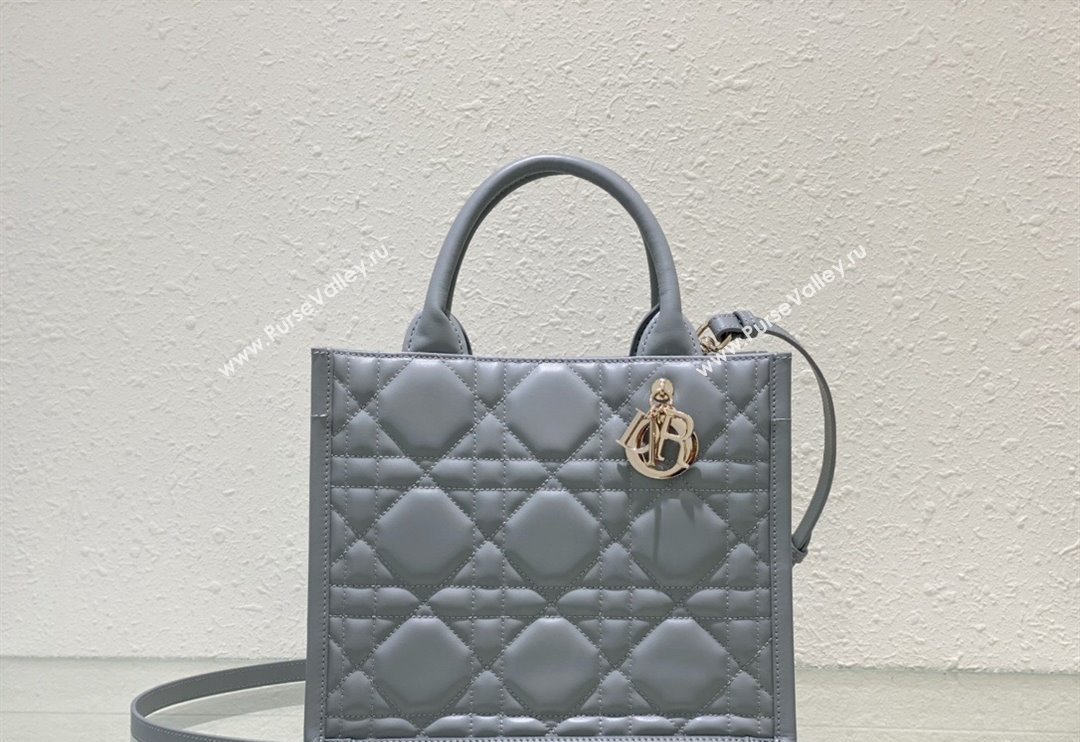 Dior Small Tote Bag in Grey Cannage Calfskin 2023 DR111501 (BF-231115014)