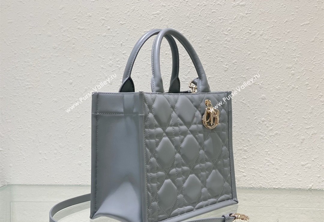 Dior Small Tote Bag in Grey Cannage Calfskin 2023 DR111501 (BF-231115014)