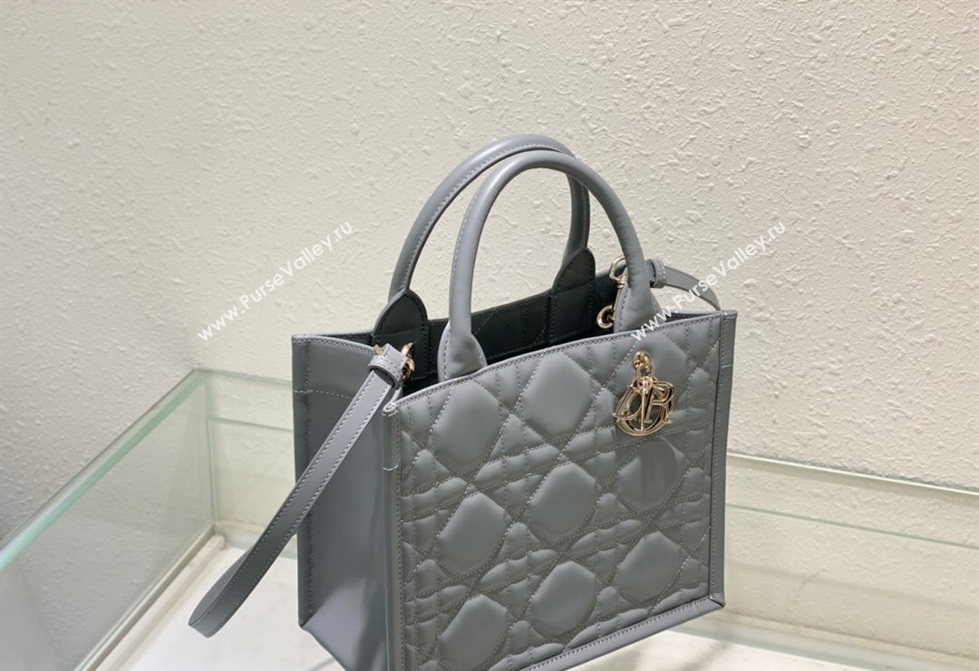 Dior Small Tote Bag in Grey Cannage Calfskin 2023 DR111501 (BF-231115014)