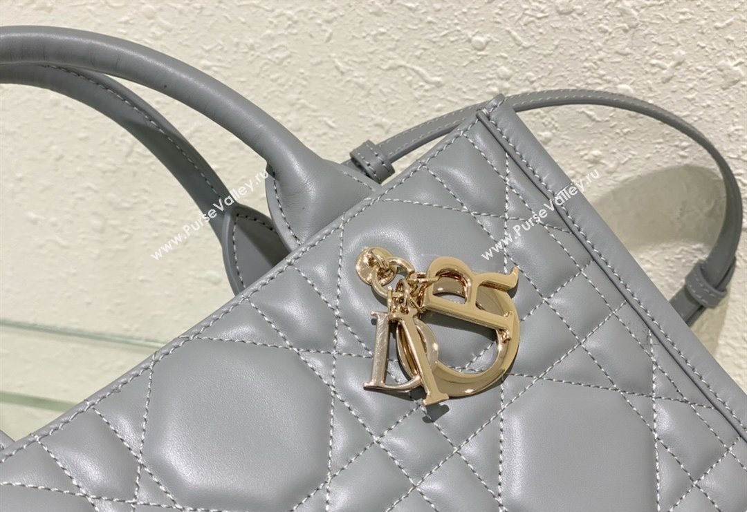 Dior Small Tote Bag in Grey Cannage Calfskin 2023 DR111501 (BF-231115014)