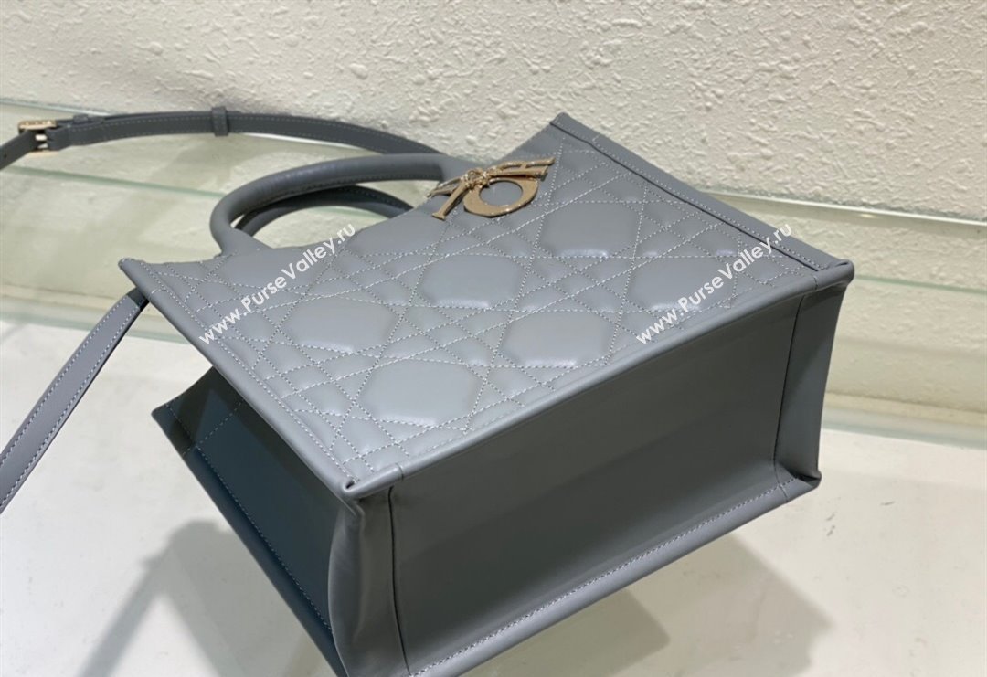 Dior Small Tote Bag in Grey Cannage Calfskin 2023 DR111501 (BF-231115014)