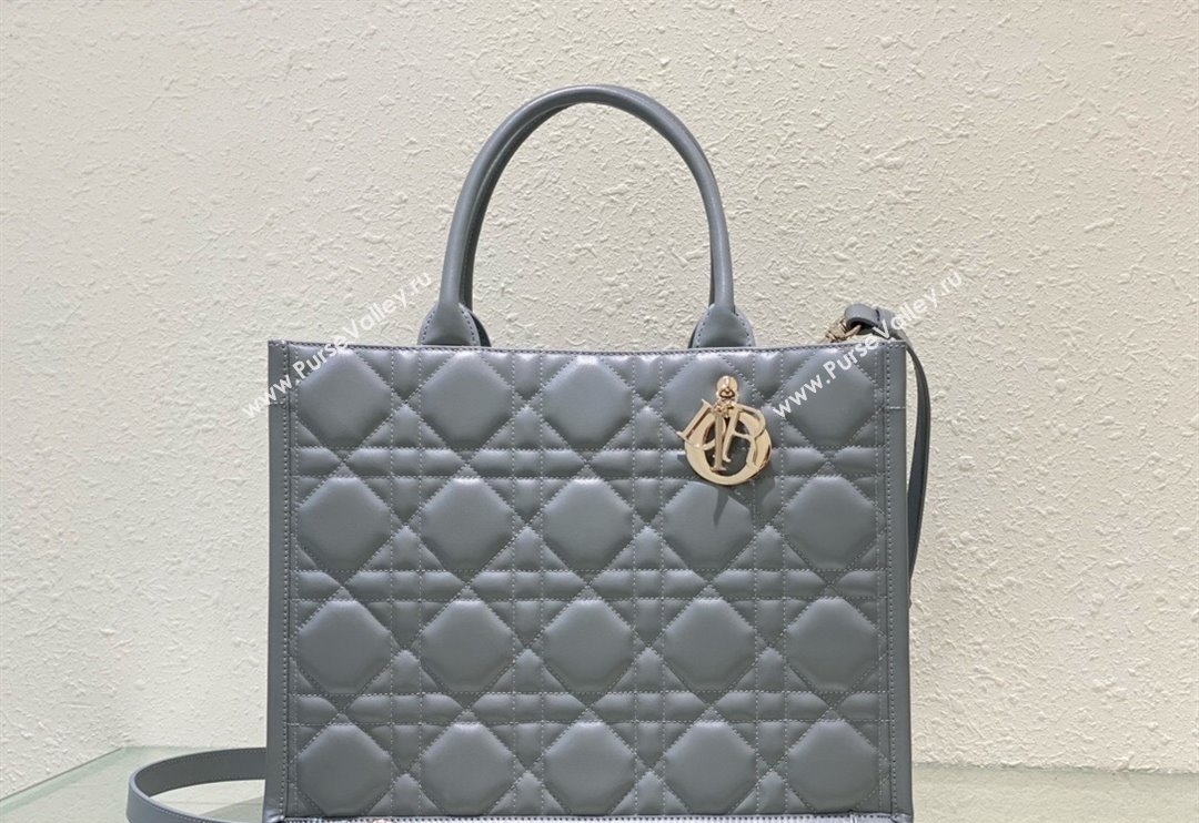 Dior Medium Tote Bag in Grey Cannage Calfskin 2023 DR111501 (BF-231115015)