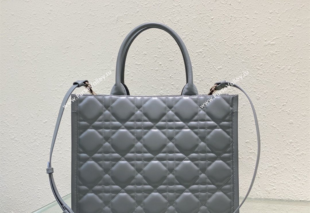 Dior Medium Book Tote Bag in Macrocannage Calfskin Grey 2024 (XXG-240523016)