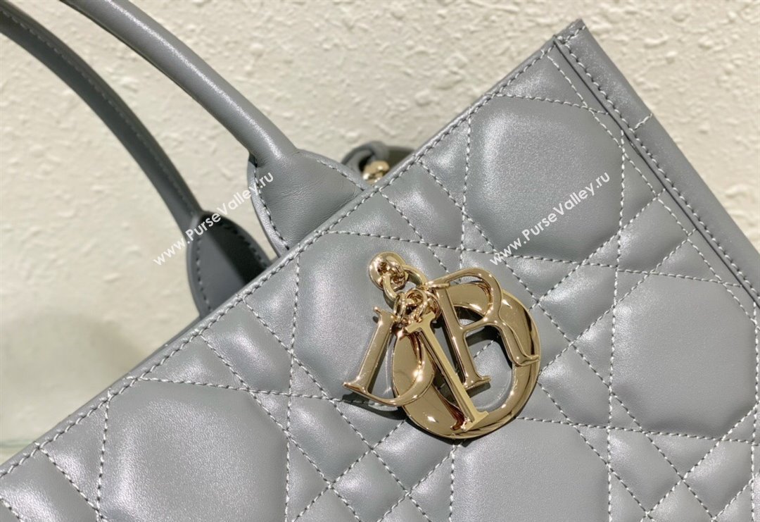 Dior Medium Tote Bag in Grey Cannage Calfskin 2023 DR111501 (BF-231115015)