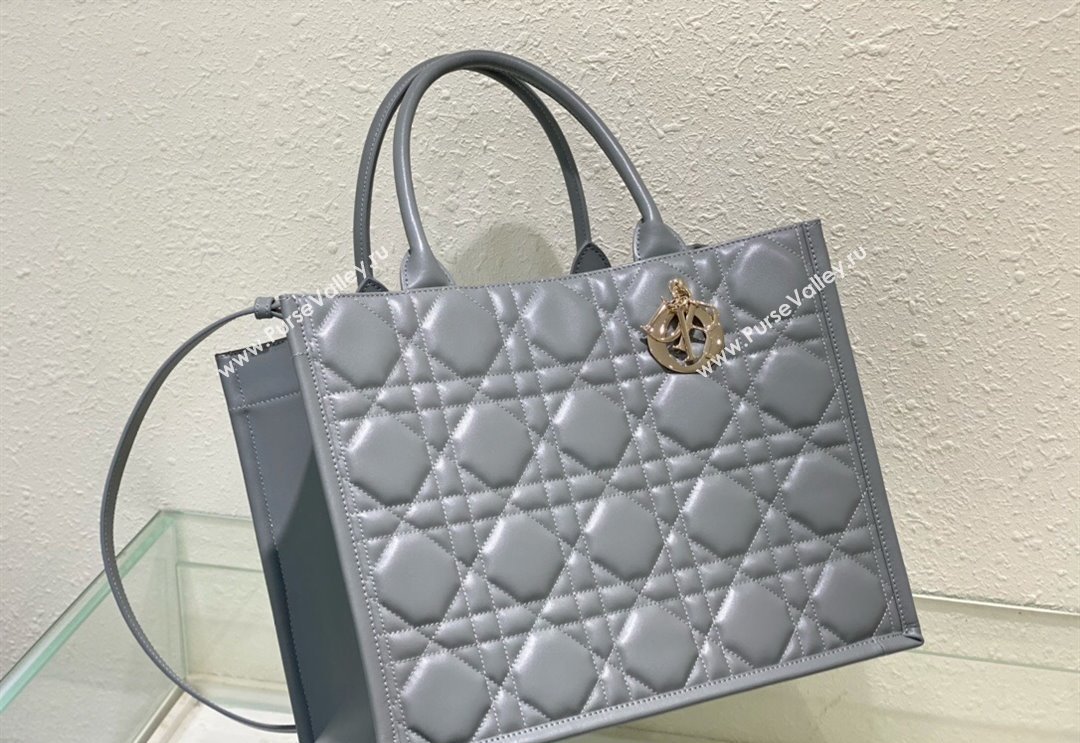 Dior Medium Book Tote Bag in Macrocannage Calfskin Grey 2024 (XXG-240523016)